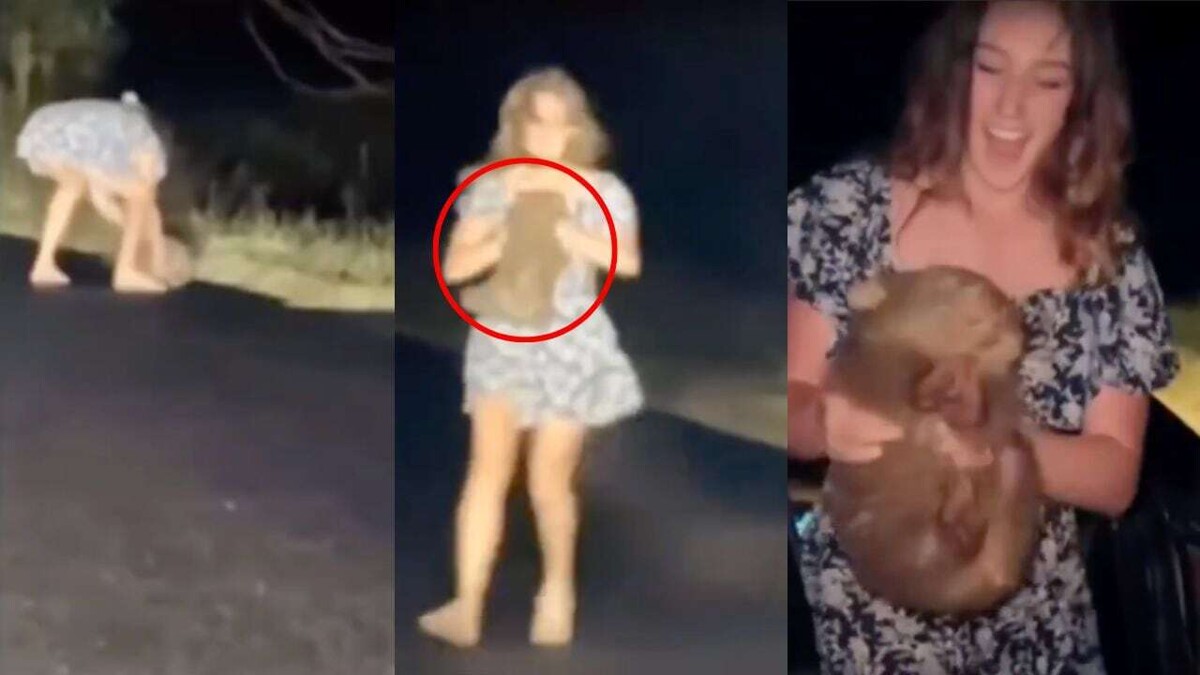 Influencer Faces Backlash for Stealing Baby Wombat