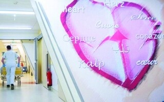 New Sydney Research: Diabetes Directly Impacts Heart