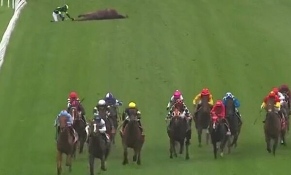 Jockey Jason Collett Risks Life to Save Horse in Sydney Race