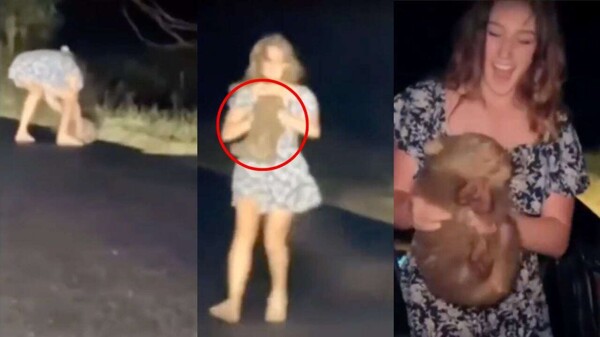 Influencer Faces Backlash for Stealing Baby Wombat