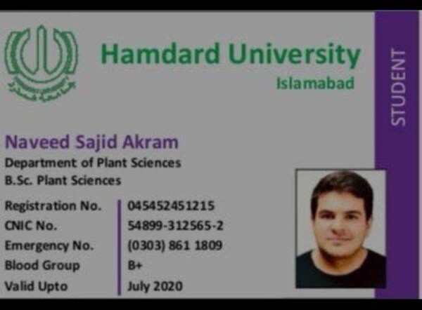 Australian Authorities Investigate Bondi Beach Attack During Hanukkah