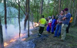 Службы экстренной помощи предупреждают о рисках лесных пожаров в NSW