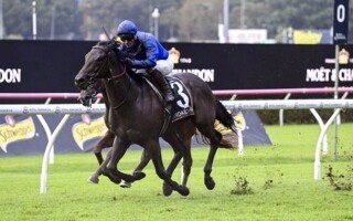 Лошадь Godolphin выиграла награду за лучшую гоночную лошадь в Аделаиде
