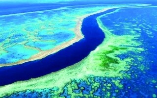 Самые высокие температуры воды, зафиксированные у Большого Барьерного рифа