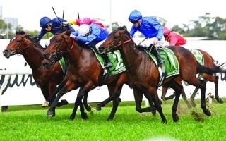Бродсайд выиграл Золотую Розу Джеймса Сквайра
