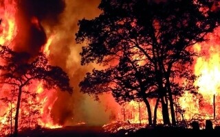 Global Warming Linked to Rising Death Rates from Wildfires